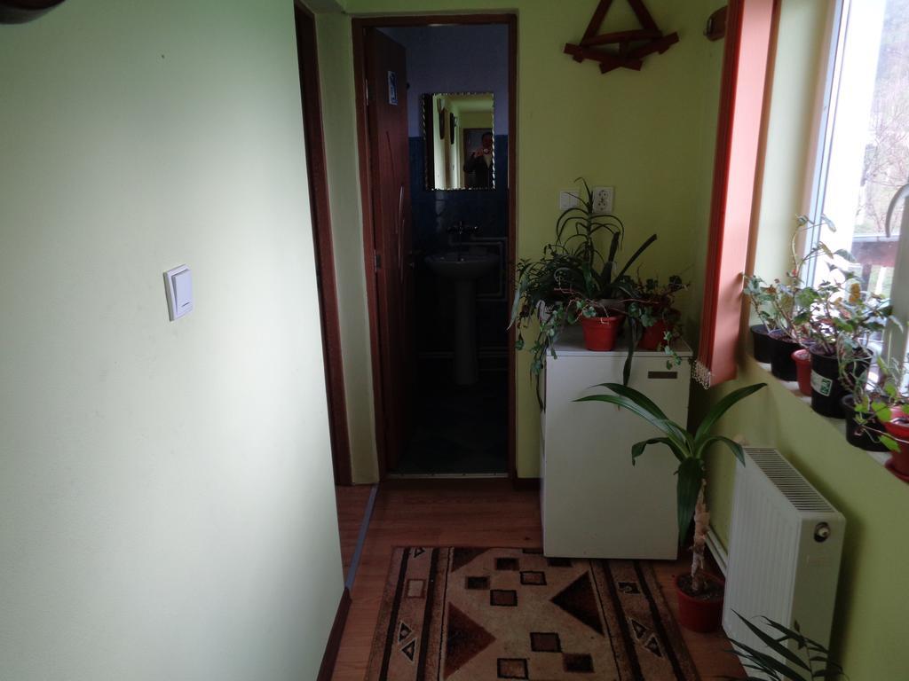 Gasthaus Enduro Bica Hotel Caransebes Luaran gambar